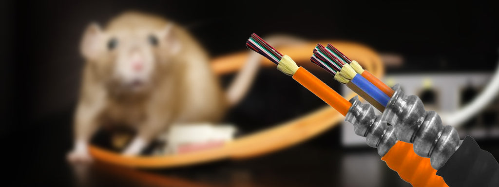 MC Cable and BX Cable: What Is It? – Fiber Savvy