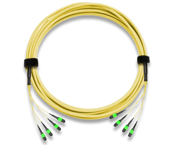 MTP Trunk Cable, APC Polish, Single Mode, 48 Fiber, 9/125, Plenum Rated