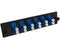 12-Strand Pre-Loaded Single Mode LC Slide-Out 1U Fiber Patch Panel with Unjacketed Pigtail Bundle