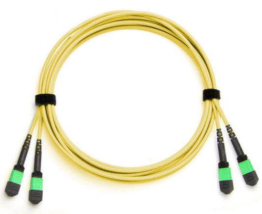 MTP Trunk Cable, APC Polish, Single Mode, 24 Fiber, 9/125, Plenum Rated