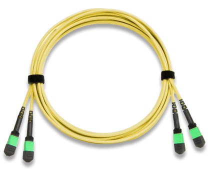 MTP Trunk Cable, APC Polish, Single Mode, 24 Fiber, 9/125, Plenum Rated