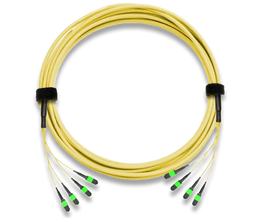 MTP Trunk Cable, APC Polish, Single Mode, 48 Fiber, 9/125, Plenum Rated