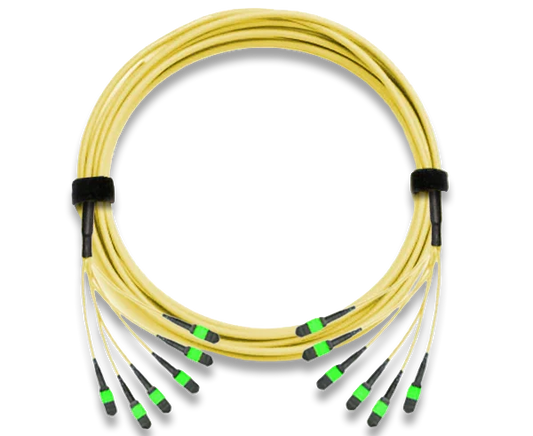 MTP Trunk Cable, APC Polish, Single Mode, 72 Fiber, 9/125, Plenum Rated
