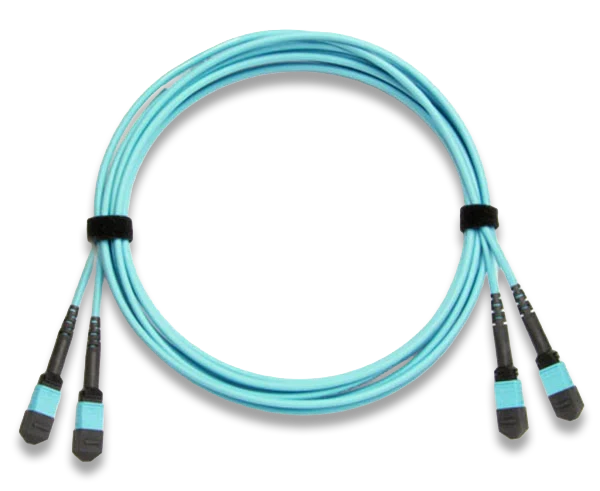 MTP/MPO Fiber Optic Cable, 24 Fiber, Multimode 50/125, OM4, Plenum, Female-Female, Method A/B/C