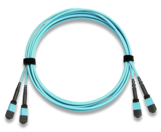 MTP/MPO Fiber Optic Cable, 24 Fiber, Multimode 50/125, OM4, Plenum, Female-Female, Method A/B/C