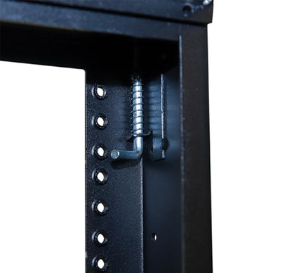 Swing Gate Wall Rack, 12U, 18U