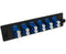 24-Strand Pre-Loaded Single Mode LC Slide-Out 1U Fiber Patch Panel with Unjacketed Pigtail Bundle