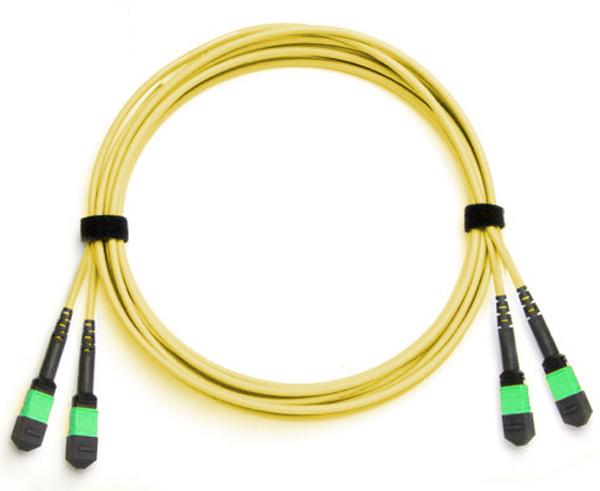 MTP/MPO, APC Polish, Fiber Optic Cable, 24 Strand, Single-Mode 9/125, OS2, Plenum, Female-Female, Method B