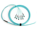 MTP Trunk Cable, Multimode OM3 10 Gig, 72 Fiber, 50/125, Plenum Rated