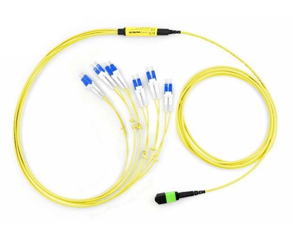 Single-Mode Cable MTP-LC 12 Fiber Cable